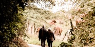 Ile lat szkoły wlicza się do emerytury?