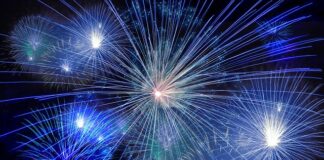 Jak się nazywa sztuczna inteligencja muska?