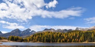 Czy można nie przyjąć stażu z urzędu pracy?