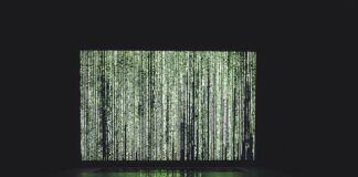 Czym są algorytmy genetyczne?