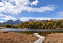 Czy staż pracy wlicza się do wysługi lat? Czy staż pracy wlicza się do wysługi lat?