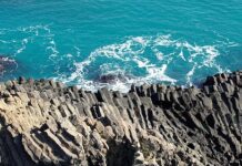 Jak zostać akcjonariuszem?