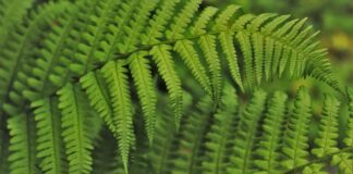 Jak wdrożyć nowego pracownika?