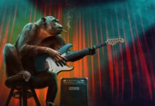 Jakie są kolejne etapy rozwiązywania problemów?